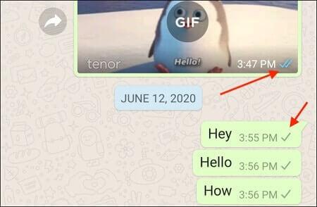 Messaging WhatsApp Contact