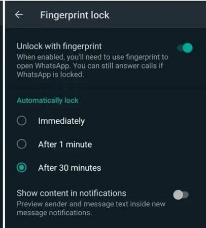WhatsApp Lock Feature