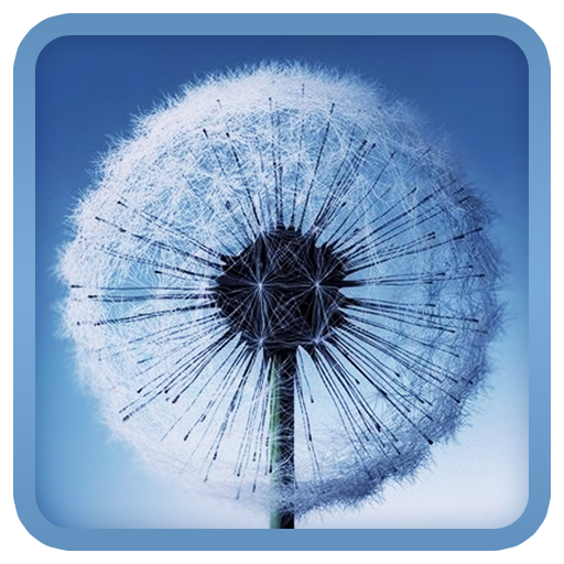 Windmill Live Wallpaper APK Download 2023 - Free - 9Apps