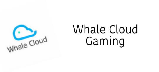 Whale Cloud Gaming